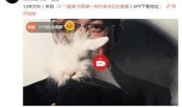 结婚爆料事件视频完整版,视频完整版深度解析