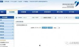 东港股份最新爆料信息网,揭秘公司重大动态与未来战略布局