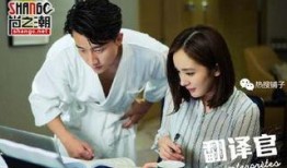 翻译官电视剧在线观看,跨国爱情与职场挑战的精彩演绎