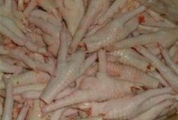 鸡爪养殖爆料视频大全最新,最新爆料视频大全深度解析