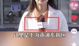 陈姐姐员工爆料视频大全,揭秘职场真相与幕后故事