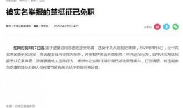 团委书记爆料新闻报道稿,新闻报道背后的故事与真相”