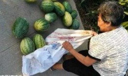 桂林吃瓜最新事件爆料,揭秘背后真相与网络热议