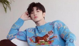 娱乐大爆料黄宗泽陈哲远,揭秘幕后精彩瞬间