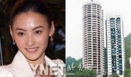 张柏芝赵薇爆料视频,揭秘娱乐圈不为人知的一面