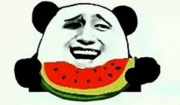 吃瓜娱乐间可爱,可爱瞬间，欢乐无限