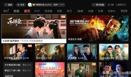 电视节目回看在线观看,电视节目回看在线观看指南