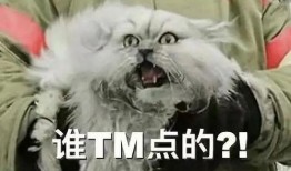 娱乐吃瓜酱丹麦猫咪