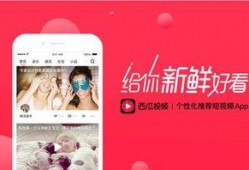 今日西瓜爆料视频最新版,揭秘娱乐圈最新动态，精彩内容抢先看！