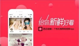 今日西瓜爆料视频最新版,揭秘娱乐圈最新动态，精彩内容抢先看！