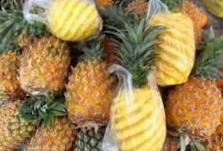 菠萝最新爆料视频,揭秘娱乐圈幕后真相