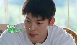 娱乐爆料许光汉是谁,娱乐爆料中的璀璨新星