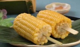 鹭岛爆料玉米肠视频网页,揭秘玉米肠制作过程，带你走进美食背后的秘密