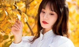 秋美在线观看,穿越时空的美丽邂逅