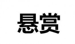 悬赏在线观看国语,在线观看国语，揭秘神秘悬赏背后的惊险故事