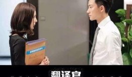 翻译官电视剧在线观看,跨国爱情与职场挑战的精彩演绎