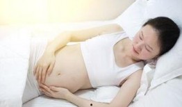 脐在线观看511,揭秘神秘数字背后的故事