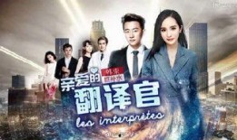 翻译官电视剧在线观看,跨国爱情与职场挑战的精彩演绎