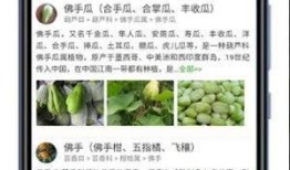 最新 植物爆料软件,揭秘植物爆料软件带来的颠覆性变革