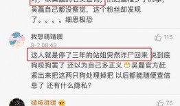 爆料里面视频被人盗用,揭秘盗用者如何利用他人作品