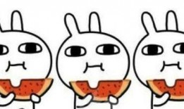 娱乐吃瓜群众陈亚男,娱乐界的“吃瓜群众”传奇