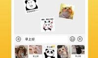 西瓜视频皮肤爆料,视觉盛宴，带你领略科技与艺术的完美融合