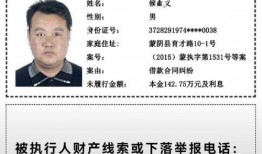 蒙阴县最新爆料新闻,最新爆料揭示惊人真相