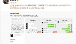 爆料小葛聊天记录视频下载,视频下载背后的惊人内幕