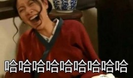 漳州搞笑奇葩爆料案件视频,搞笑爆料视频揭秘离奇案件背后的真相