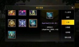 胡桃时装爆料视频大全,时尚潮流尽收眼底