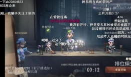 流萤爆料视频在线观看,揭秘幕后真相，带你走进事件核心