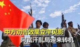 广东今日一线怎么爆料,揭秘幕后真相