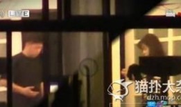 明星窗帘爆料视频大全下载,揭秘明星私生活瞬间