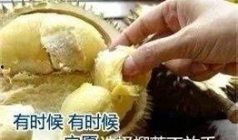 榴莲千层加工爆料视频,独家爆料带你领略美味背后的秘密