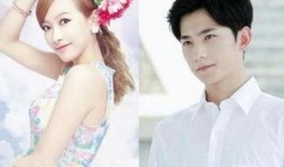 明星酒店恋情爆料视频,甜蜜瞬间引网友热议