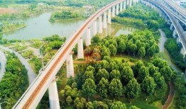 青山最新爆料新闻事件,最新爆料事件背后的真相与内幕