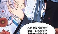 我的吃瓜女主后续免费阅读,免费阅读后续大揭秘