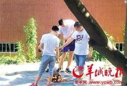 汕头记者爆料最新消息,揭秘汕头某重大事件背后真相