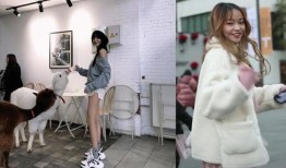 陈意礼被爆料了吗视频,真相究竟如何？