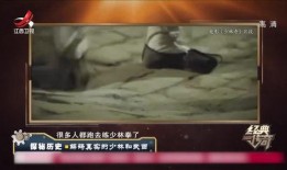 功夫1在线观看免费观看,免费畅享经典武侠盛宴