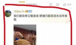 北极鲶鱼爆料视频播放,一场网络舆论的风暴