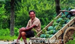 小忆吃瓜日记在线观看免费,揭秘娱乐圈幕后故事，免费在线观看大揭秘