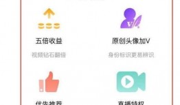 二辰爆料小黄豆视频网,热门内容背后的故事