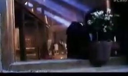 功夫1在线观看免费观看,免费畅享经典武侠盛宴