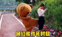 网红熊吃瓜视频原版在线观看,揭秘幕后真相，带你领略网络红人的魅力与争议