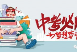 白术机制爆料最新消息,探寻其神秘功效与作用原理