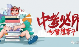 白术机制爆料最新消息,探寻其神秘功效与作用原理