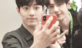 娱乐圈八卦最新爆料博君一肖,娱乐圈风云再起，真相即将揭晓！