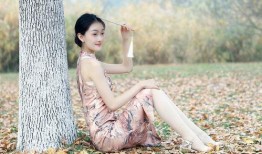 秋美在线观看,穿越时空的美丽邂逅