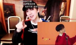 媒体爆料刘宇宁视频播放,媒体爆料背后真相揭晓